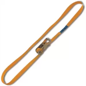 Pas mocujący z napinaczem zapadkowym zamkniety lc 750KG długość 5m/25mm en 12195-2